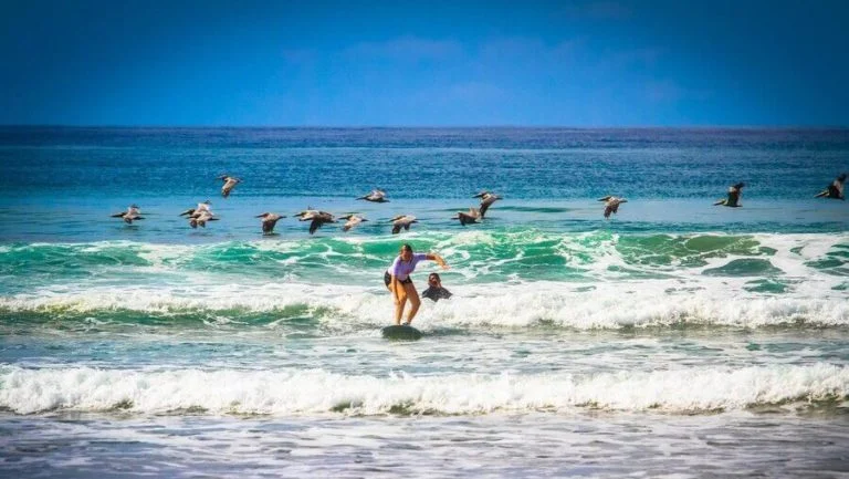 Kalon Surf Marks a New Era as a Fully Family Owned Costa Rican Luxury Retreat